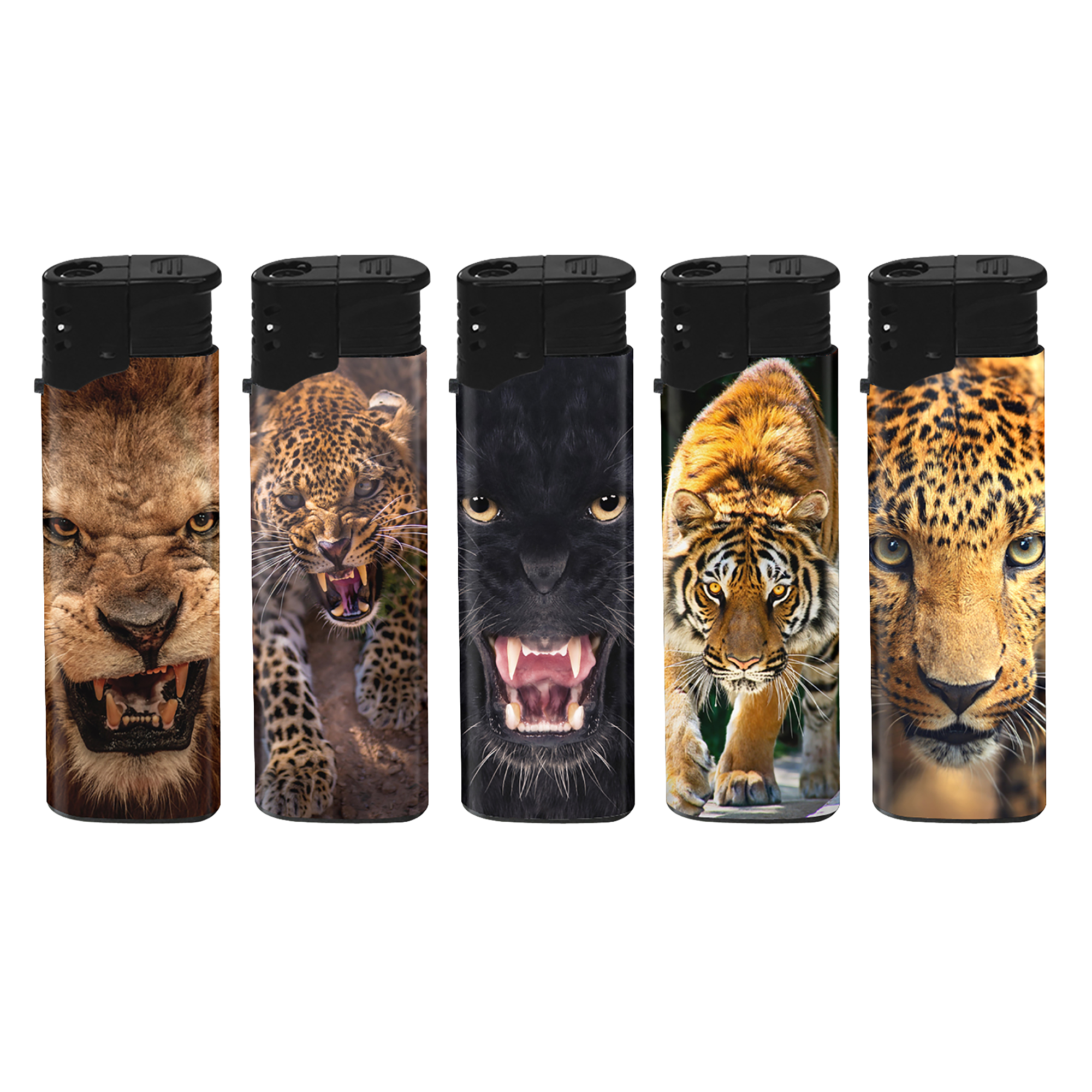 ATOMIC Turbo Wild Cats